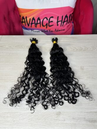 Burmese Curly K-Tips